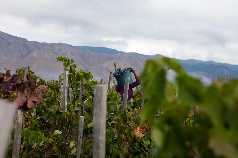 31-5272-caffe-italia-il-numero-due-ph-johanna