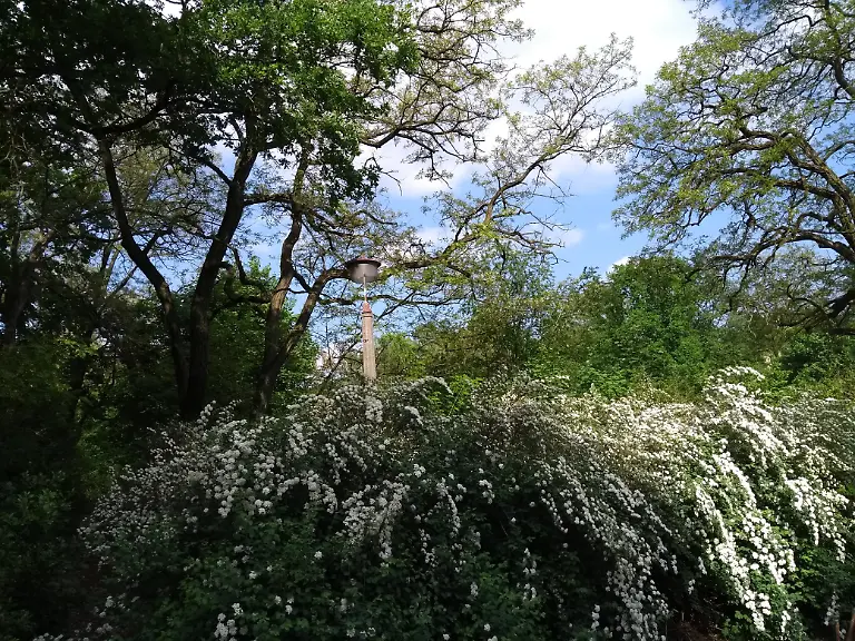 IMG-20180512-163002972