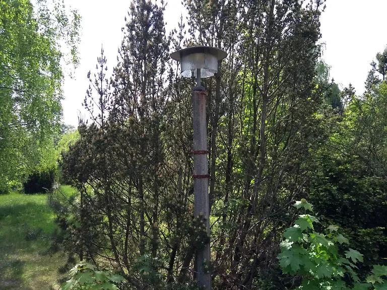 IMG-20180512-161403186