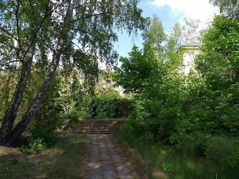 IMG-20180512-161319363