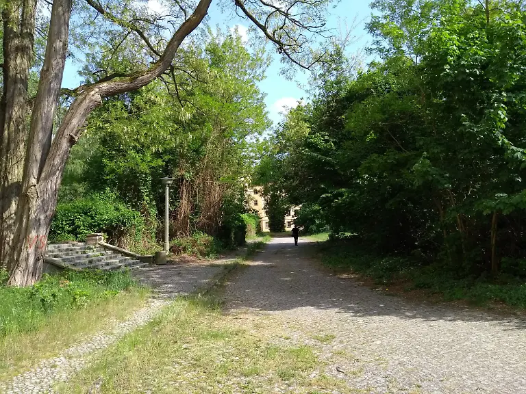 IMG-20180512-160948667