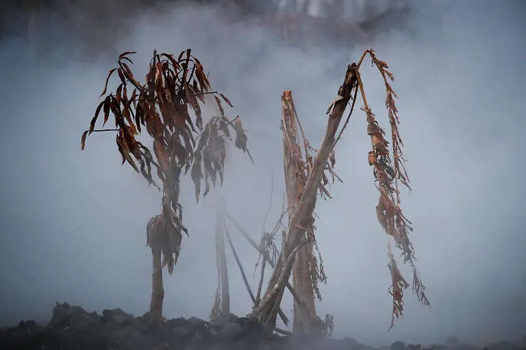 e9a98d96faa98a44c68864f355eac5f3