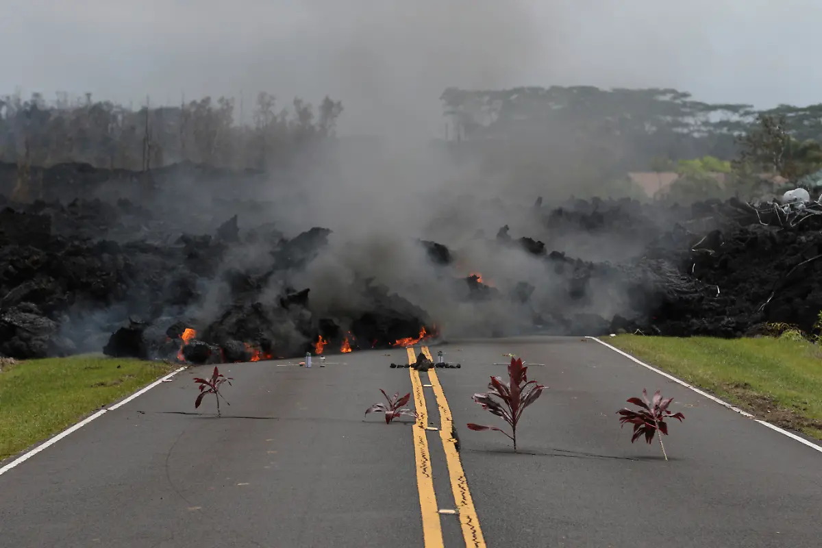 a869e3d33f56e5b717326424730660d0