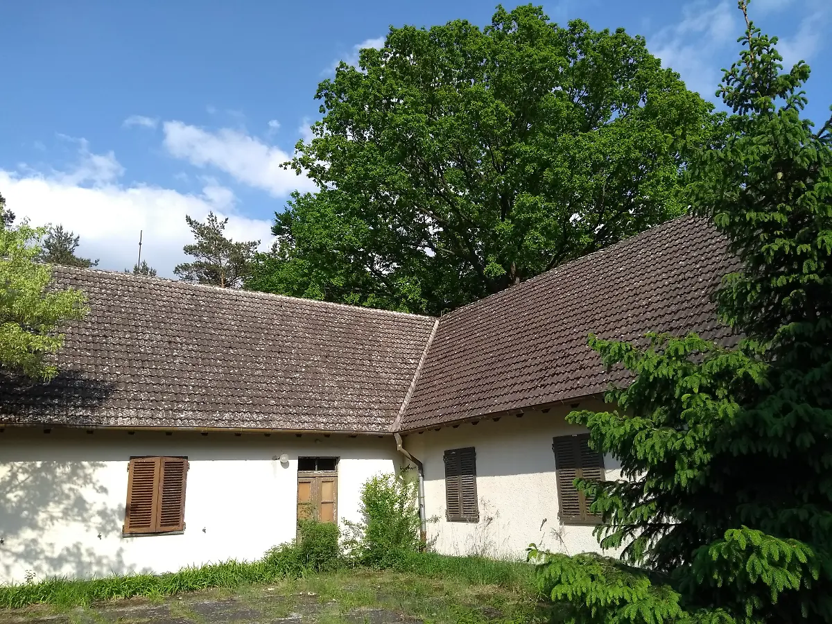 IMG-20180512-165302996