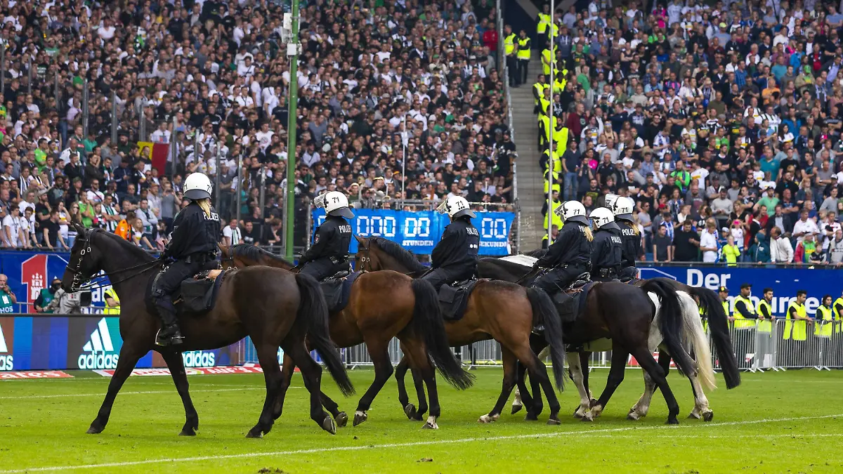 10e253d356055dfcb8e36b812eecf9f0