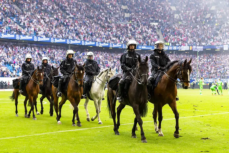 f90424a6089e4a3cb51d796f0786903d