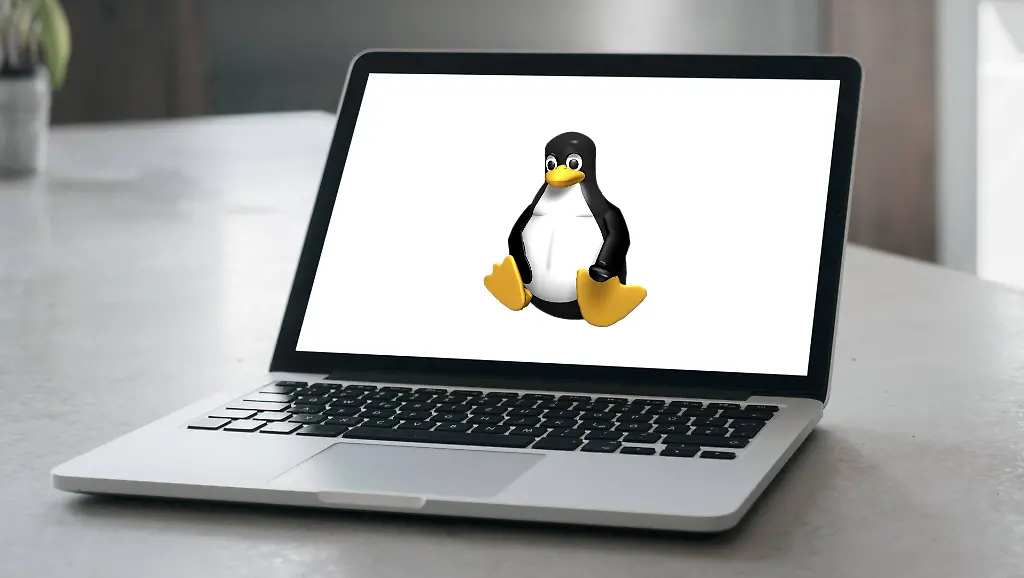 Laptop-Linux