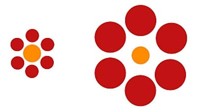 Die beiden orangefarbenen Kreise sind gleich groß.