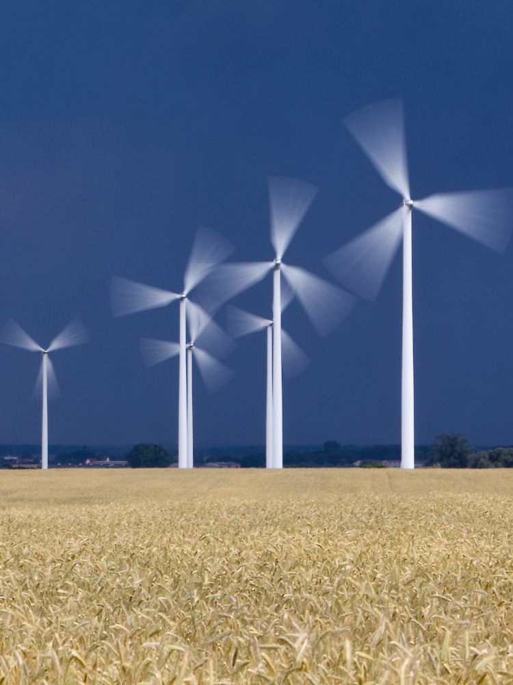 Windkraft - vor allem die an Land - liefert den größten Anteil an der Stromerzeugung aus erneuerbaren Energien.