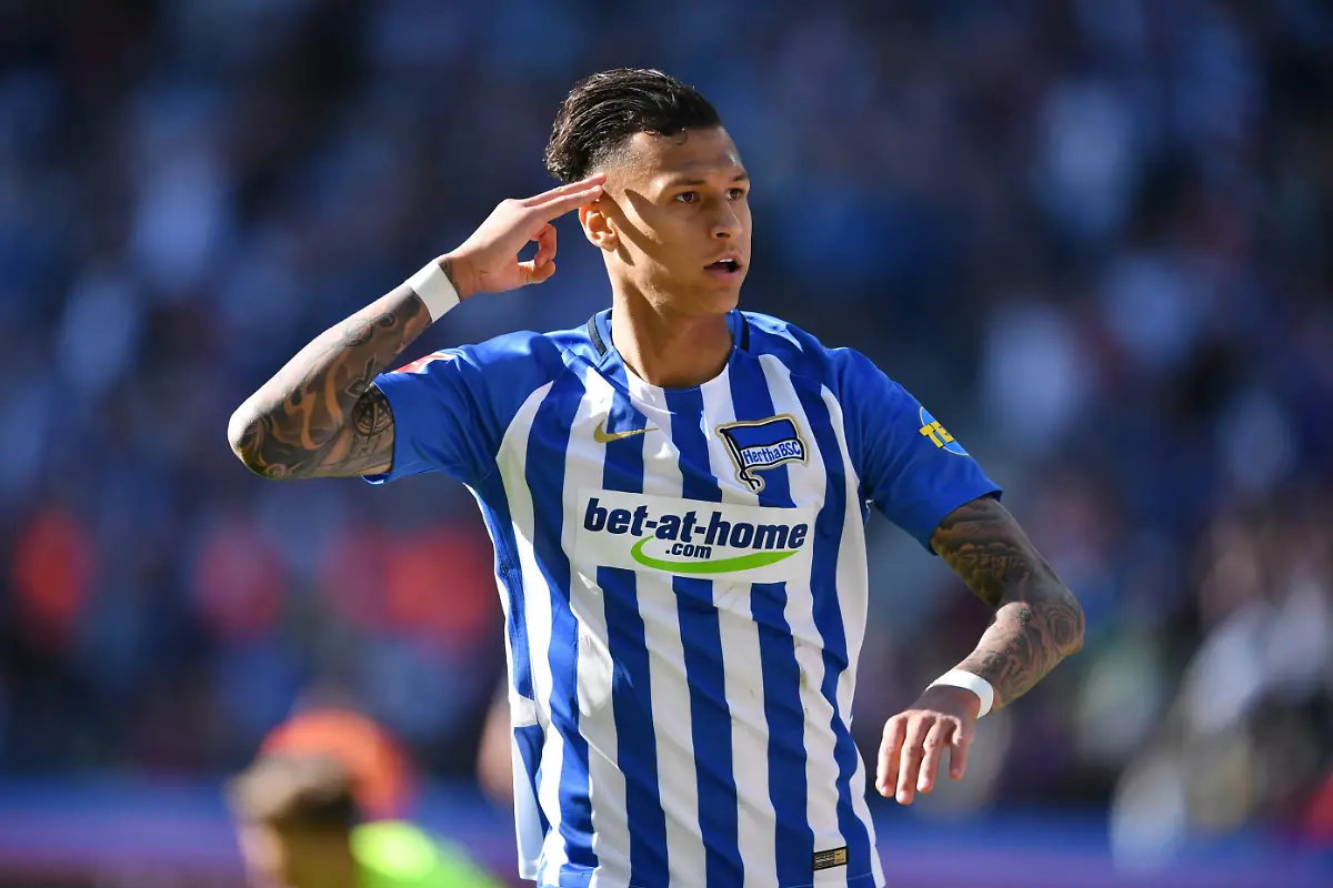 c547a8543fbddc49e7ec4cd7e477b8fc