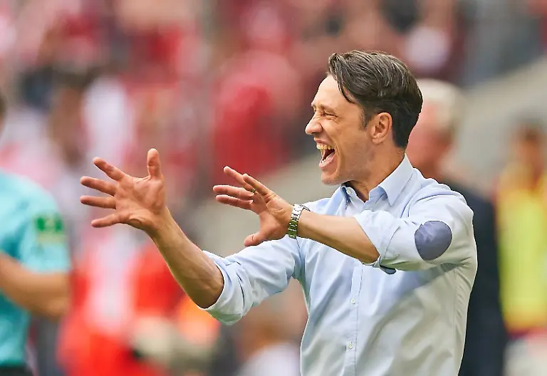 43e6f490906f55409c0df37fc014c687