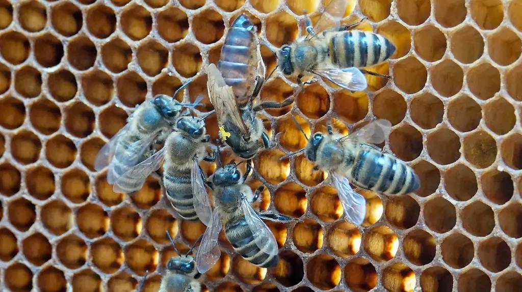 21932ffa1d55f9c1f52da004ddd44889