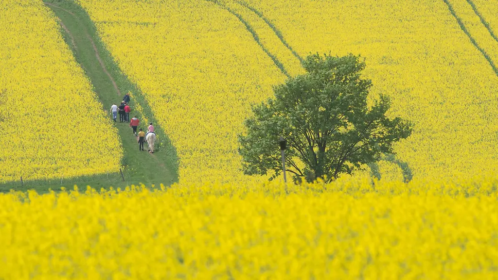 4ac3ba1d6798c3ff12f4146f12729e20