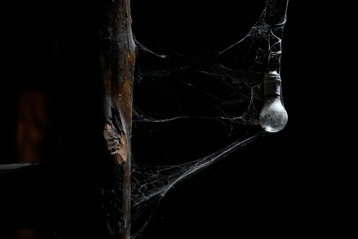 e5c0590ab57ae4cb951dc0f9618184cb