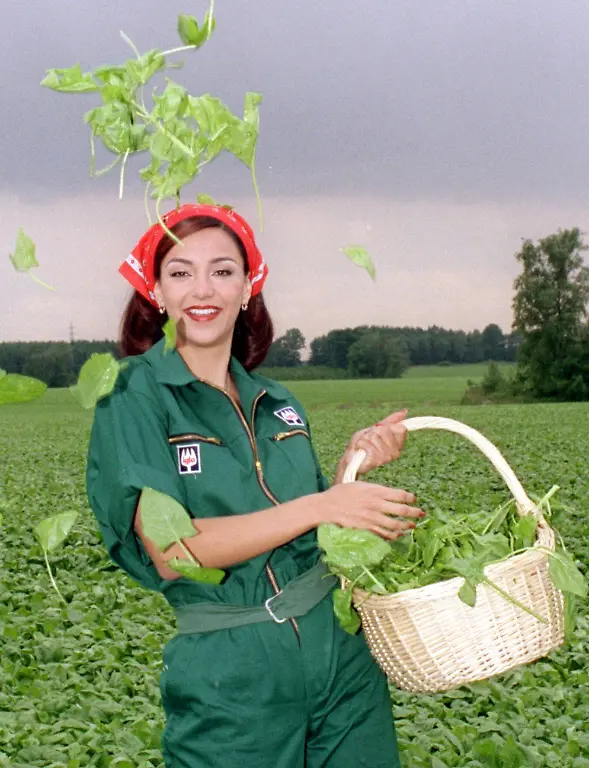 aefc772d4166ce73c077f385dc0d5c23