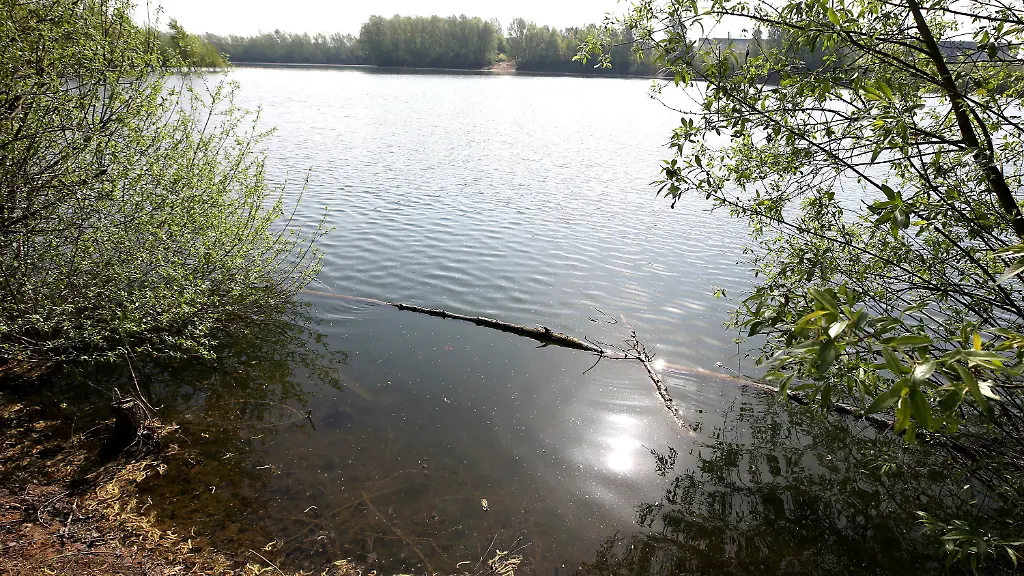 62a03599123d00dbf203968ccaa38a39