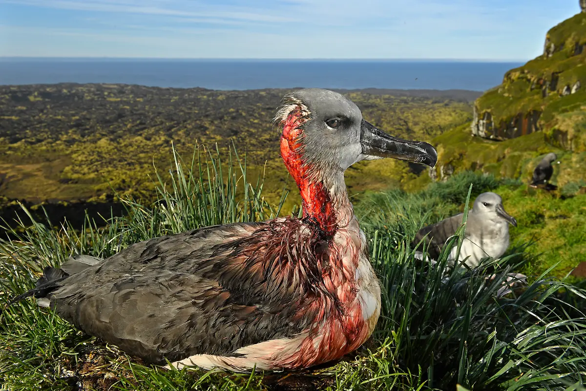 023-Thomas-P-Peschak