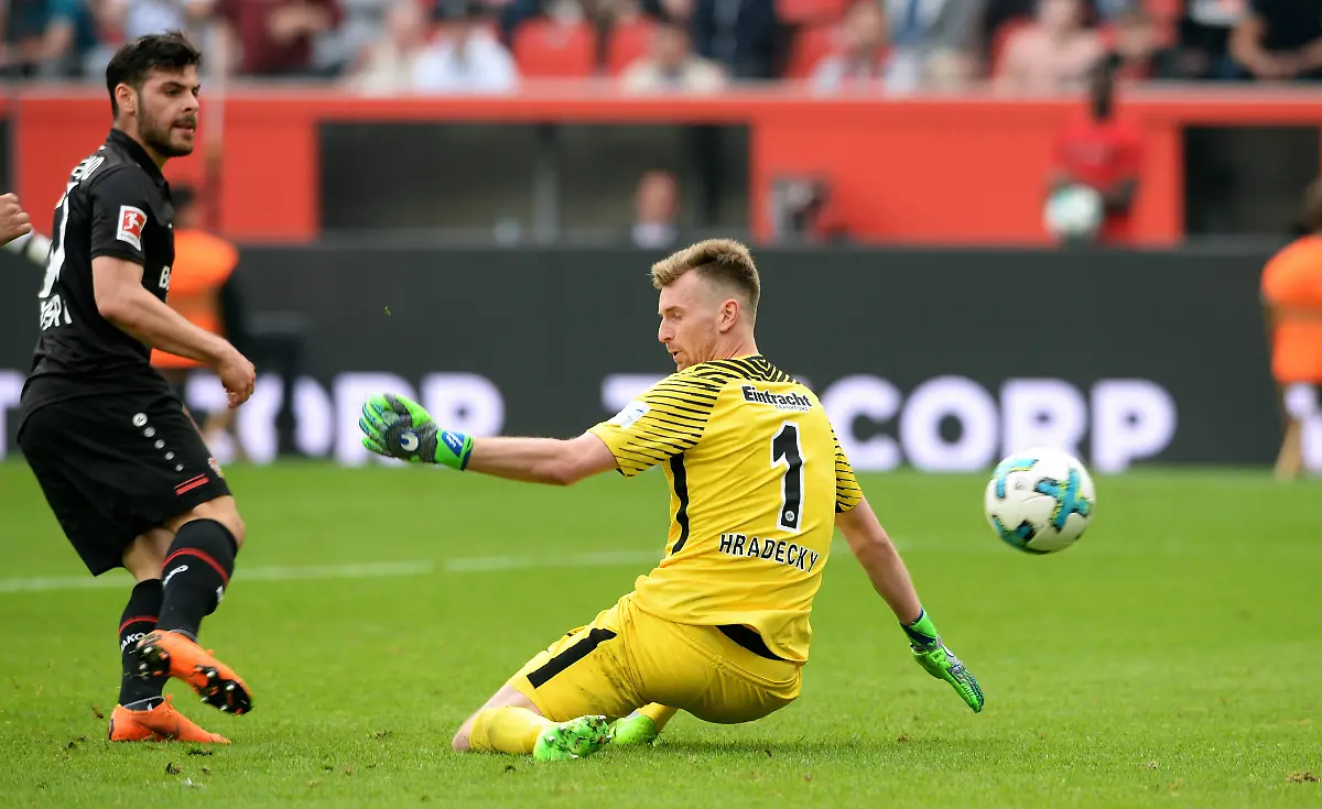 9c7a44e1be5a1997a5b5195449e5a45e