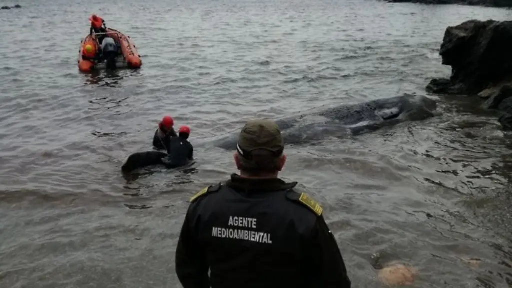 Spanien-Wal-Behoerden-Murcia