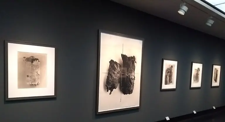 IMG-20180323-115656824