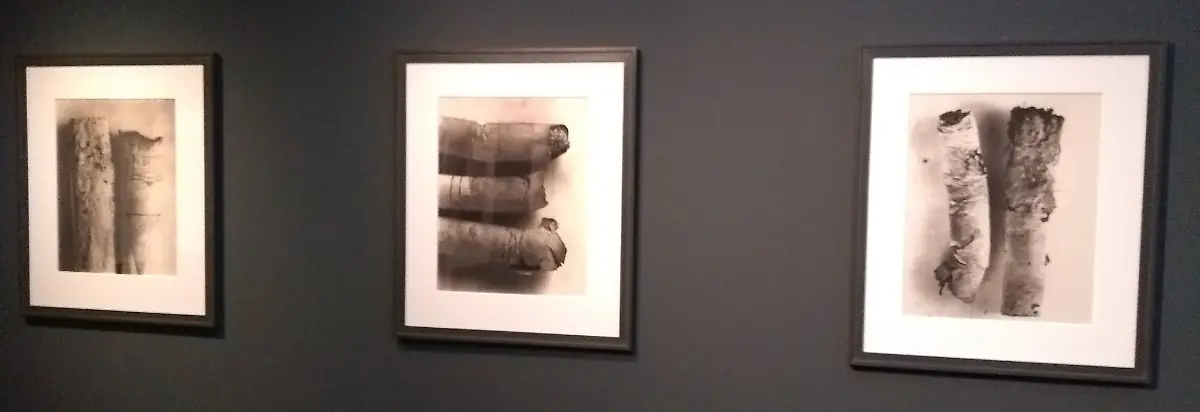 IMG-20180323-115628477