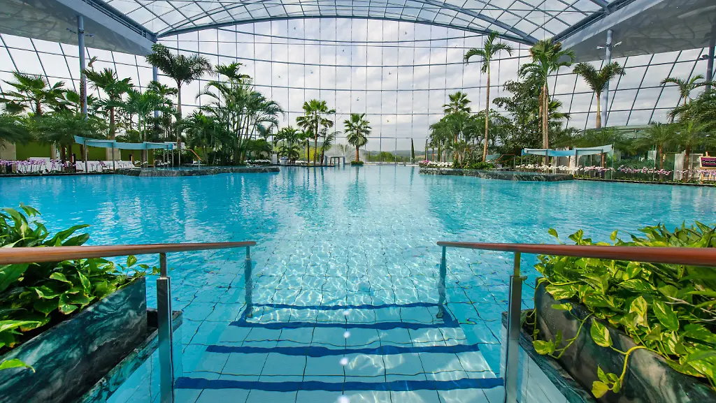 7c5d49e3385615d612dec42f77f97710