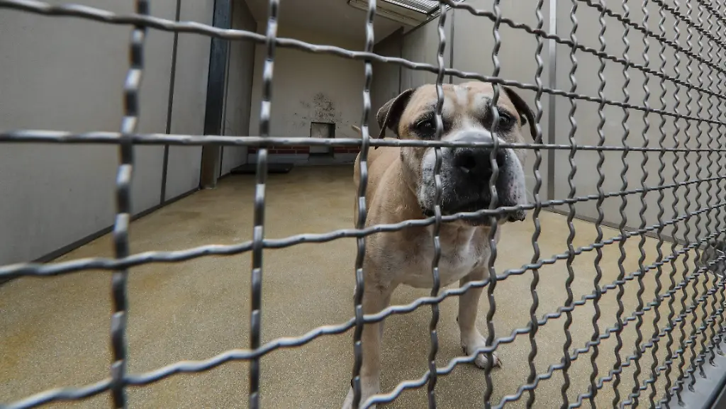 5a2f41c332c02bcfc7619d3b5b7b1d2d