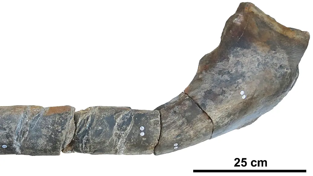 9c1ea528e7087f81661f179ccea26ad0