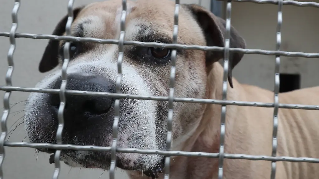 5de13100cfadc4721c967123a9c3724e