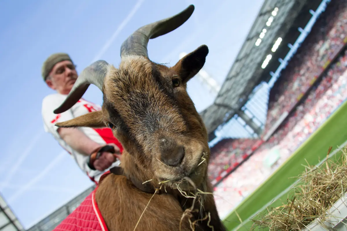 f51e0c7a193fd70091e523db1af833be