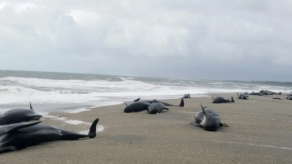 39fa42b5726f866f61510a632e10a5f2