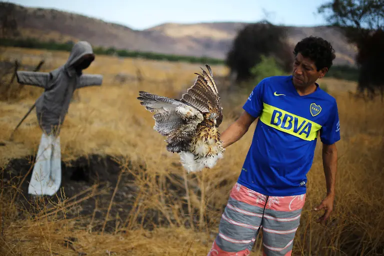 202430f7a258da7c1fcf20bb55d7f411