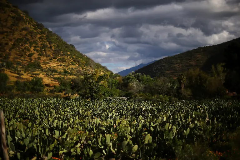 d2e7db15a87794fe93918f08ec8f1a96