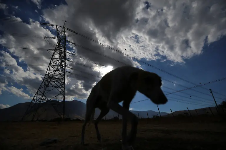 1f96fbe2c6f72e4fc173e0df7901ee01