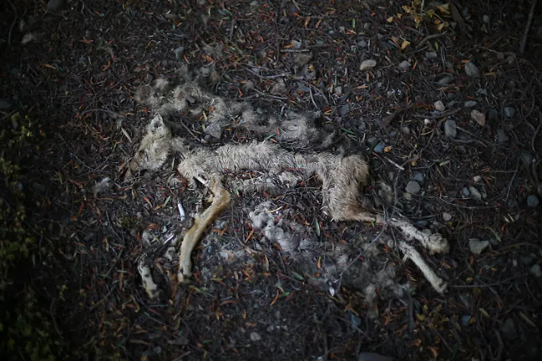 4e7bbb9d7dd8ef47acf7ded260889df9