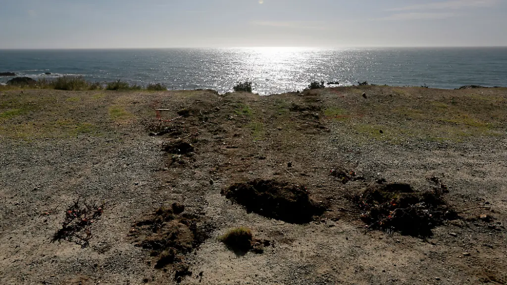 d06dd3a1f27eb4fe487a93e99d2302e9