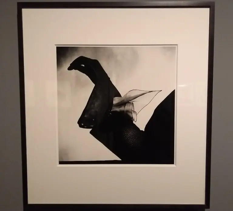 IMG-20180323-110434476-1