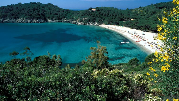 Blick auf die Bucht von Fetovaia: Gerade vor der Hochsaison ist Elba ein beliebtes Ziel für Wanderer.