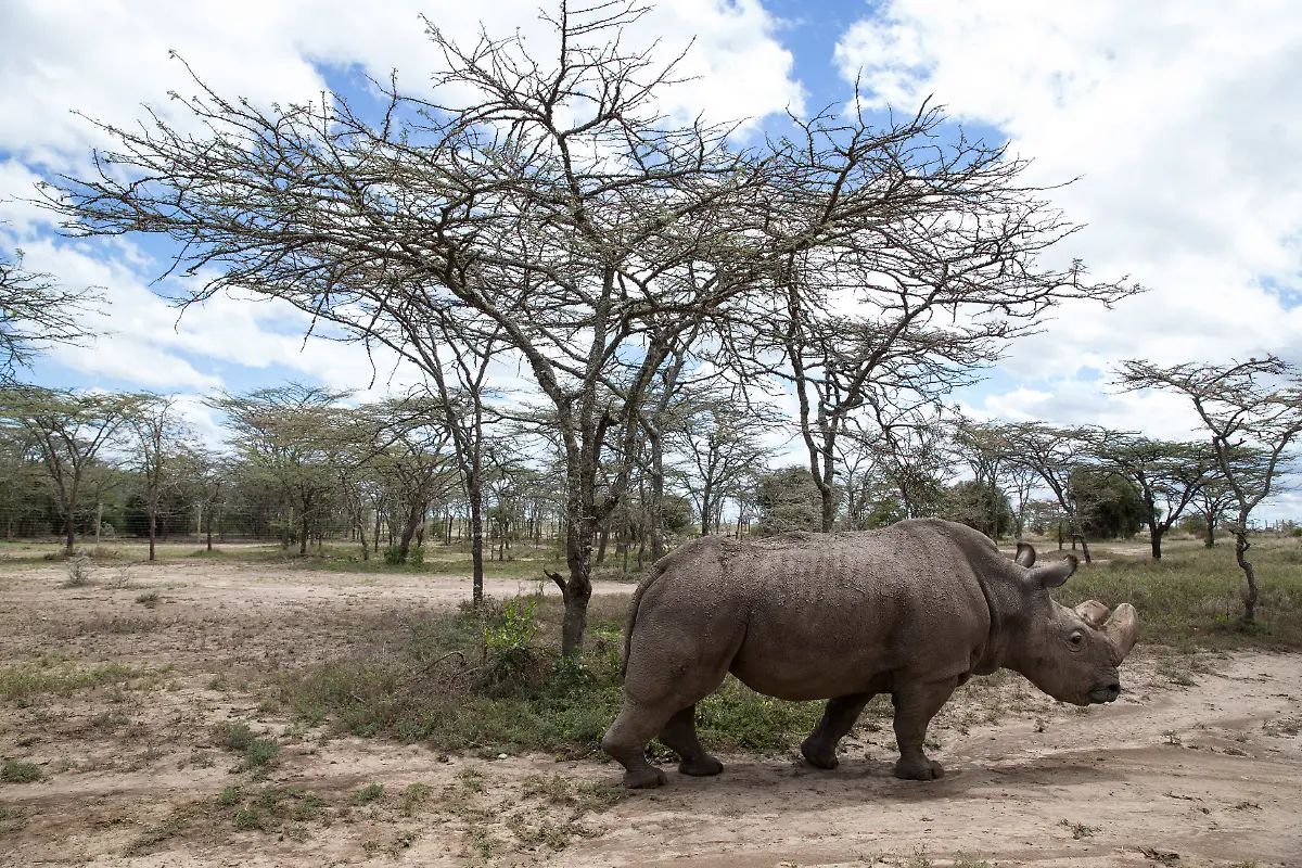 9aebcf62dc471f5a9fe3aa834cefa9b3