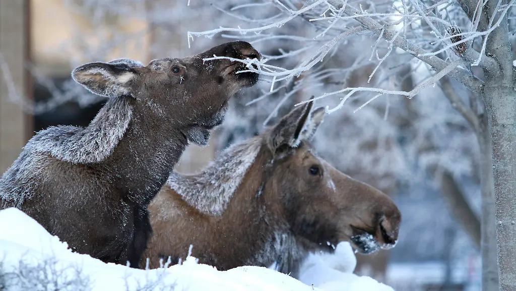 022828cd1559cb11ffa867acfa7b01c1