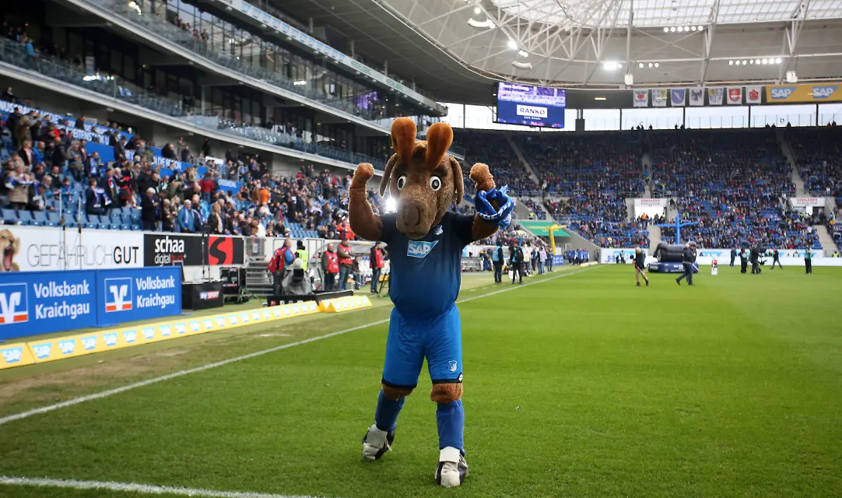 979ac0146aebf9b594ac07a219d5fcef