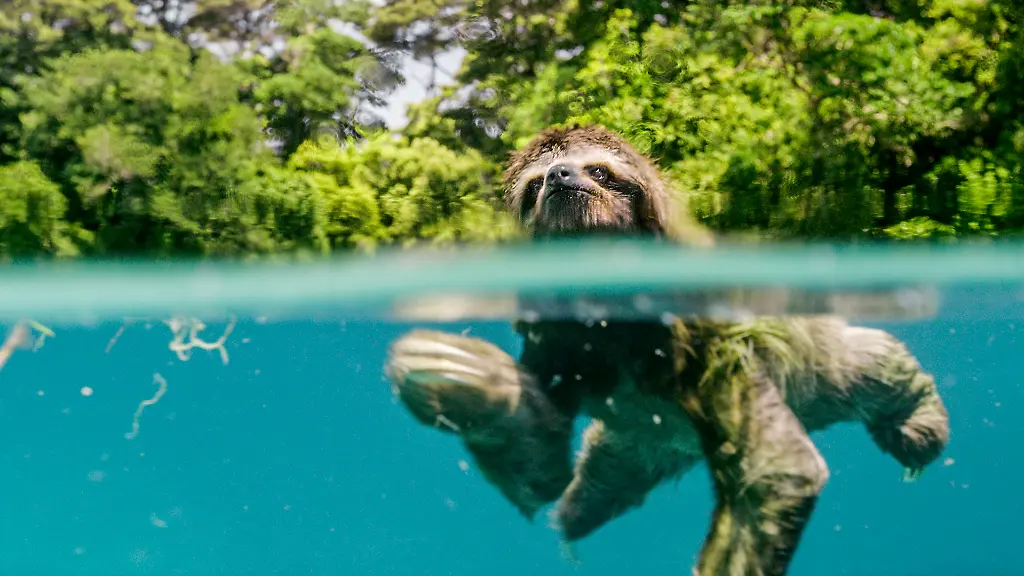 Unsere-Erde-2-Szenenbilder-14