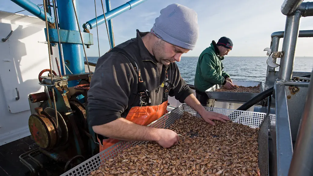 247688cf2a3ff7c7d46d1540a162cffc