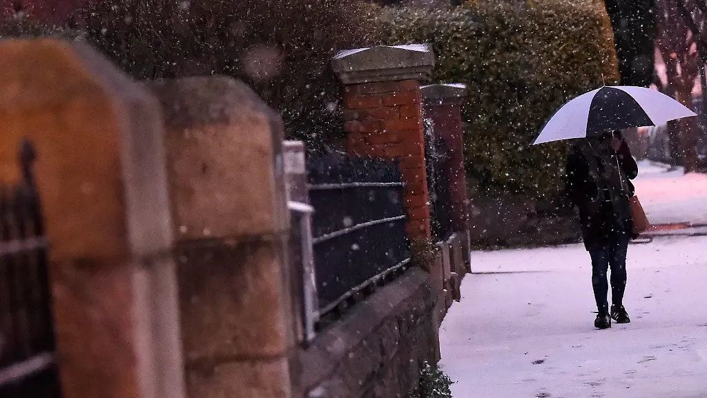 f341e38ff543f09dd41665c891c21f24