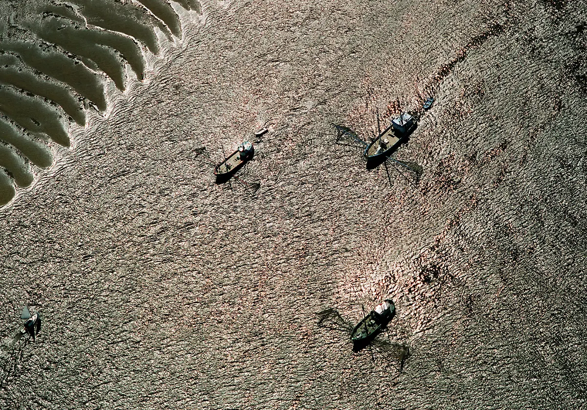 002-es-gibt-wieder-Elbfischer-S-12f