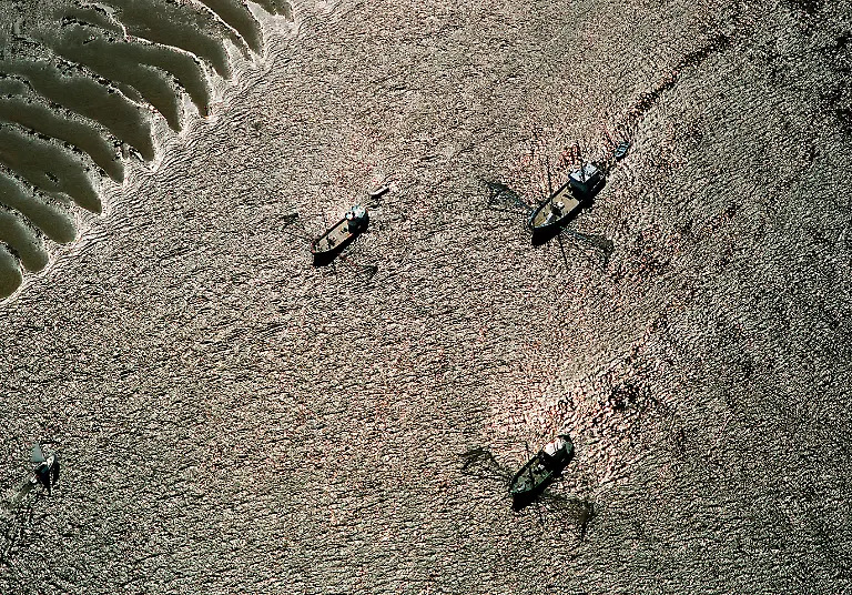 002-es-gibt-wieder-Elbfischer-S-12f