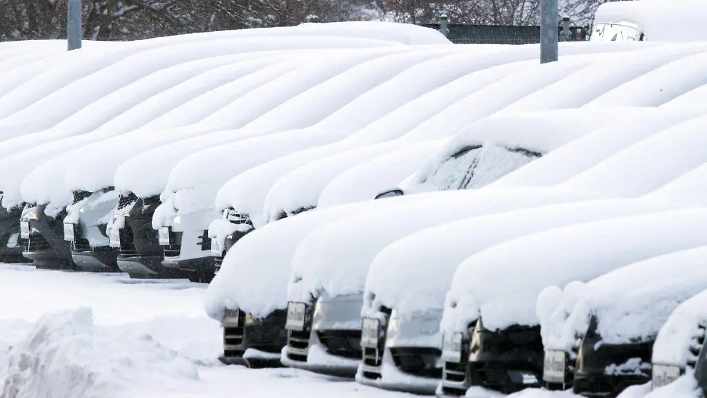 8ed5a2a588c3464a4ea3f3de41a60455