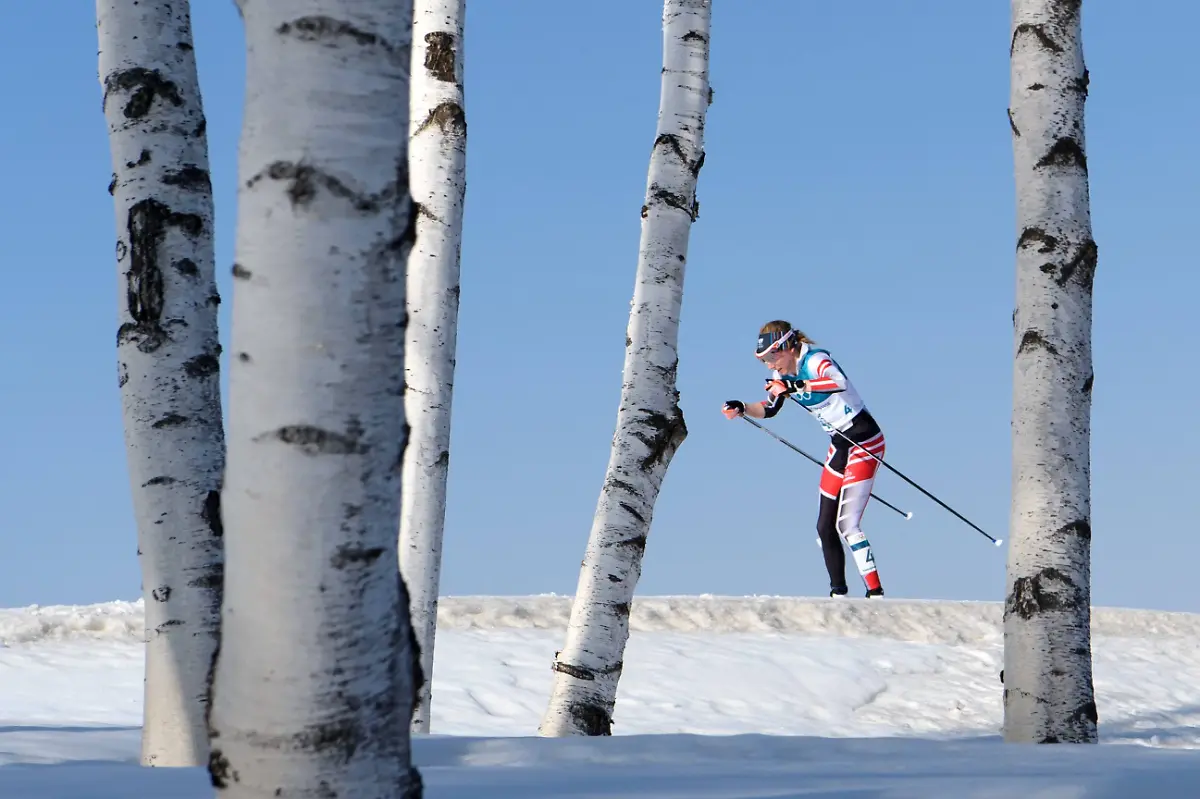 d9c2ee92bd88b8bf2a9e82fc69fc4a5e