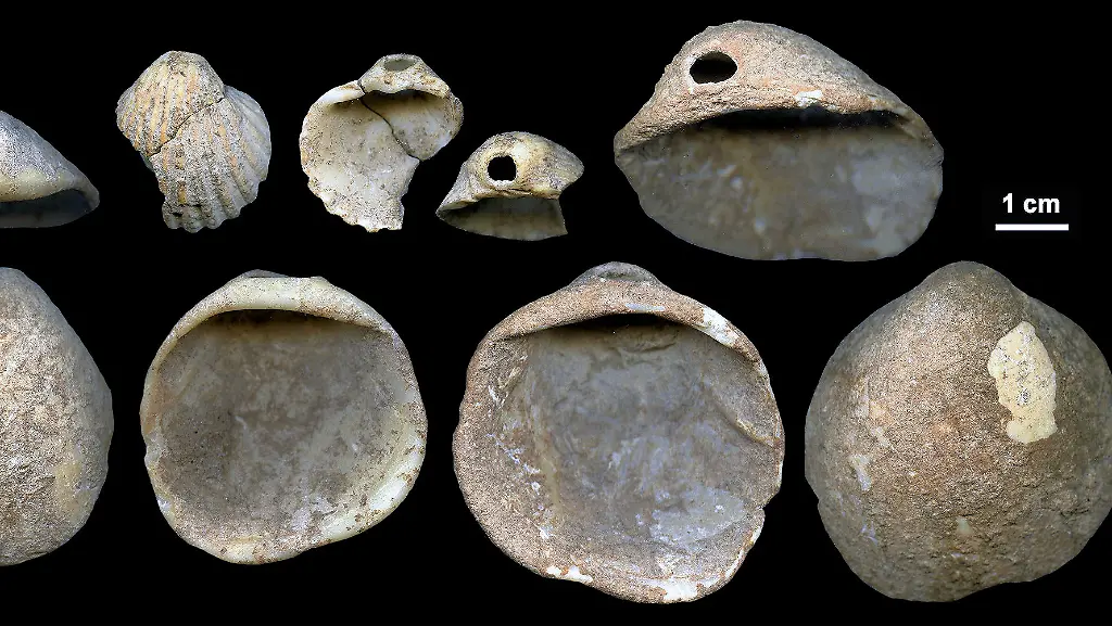 Nur-im-Zusammenhang-mit-der-aktuellen-Berichterstattung