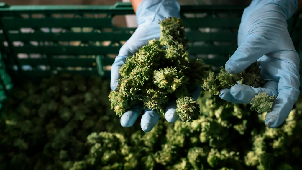 702f5ec00425923d49866ad4f3754242